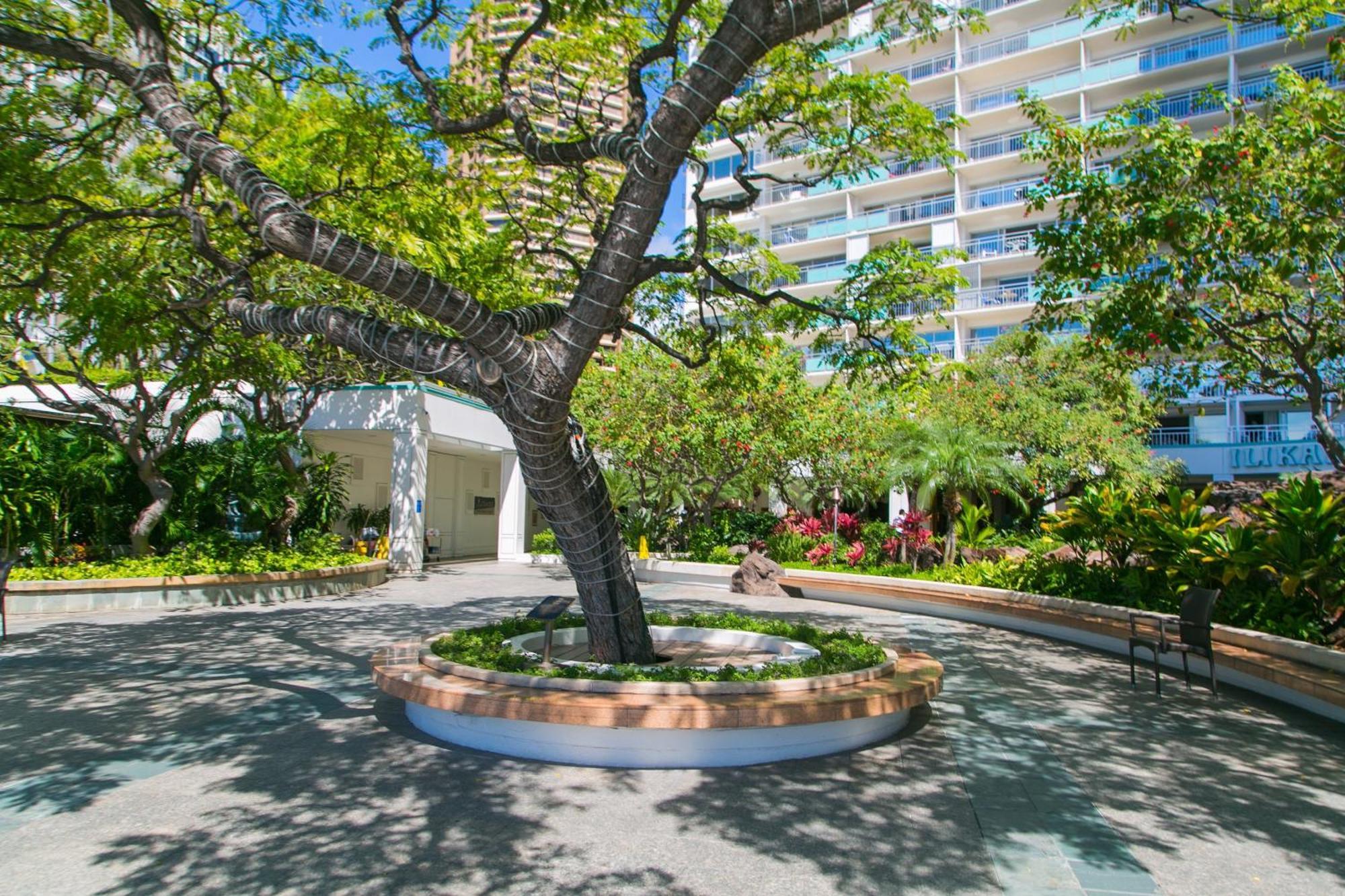 Ilikai Tower 1403 City View 1Br Honolulu Extérieur photo